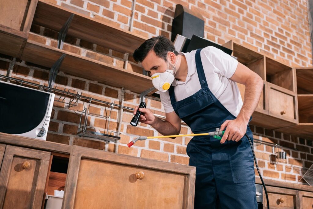 Emergency Pest Control? Call Us Now