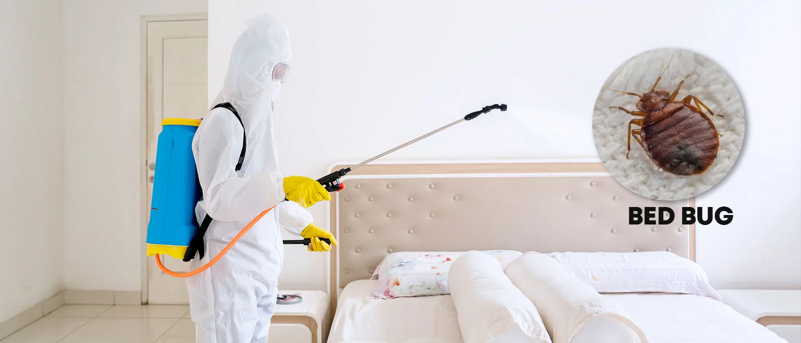 Bed bug removal and treatment for bedrooms in Guntur