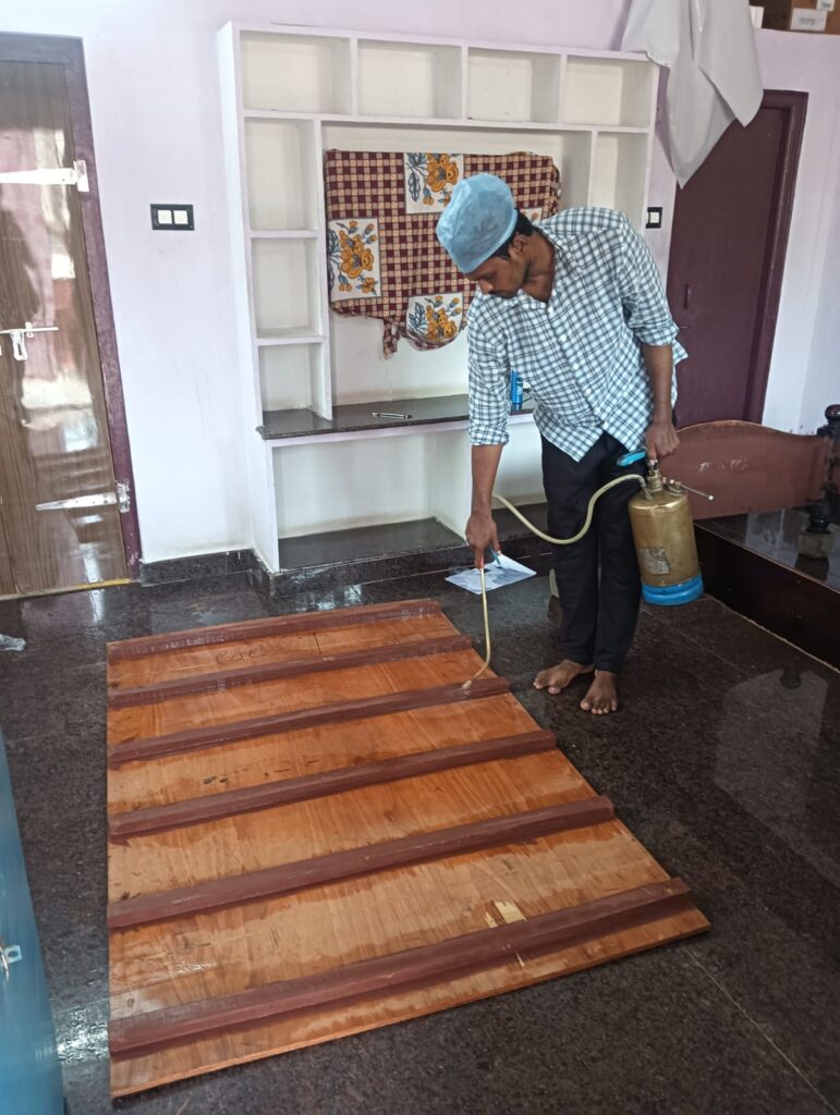 immediate termite control
